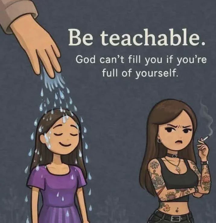 Gay Frog 🏳️‍⚧️ tweet media