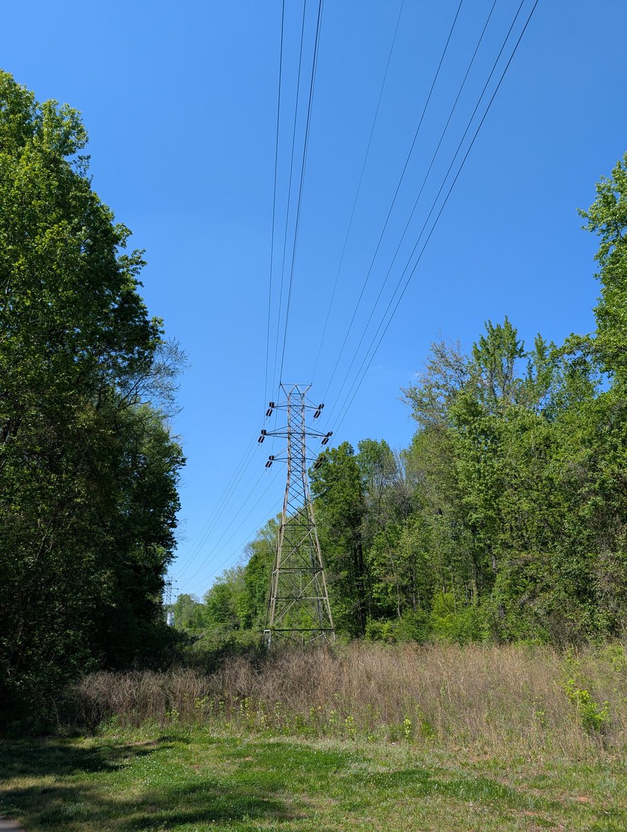 Exploring the Charlotte greenways and unwinding today!

#charlotteNC #charlotte #nature #hiking