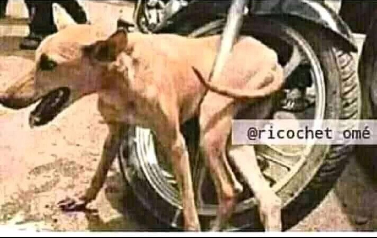 Some relationship are like this, You don't know how you got yourself into it and you don't know how to get out of it.