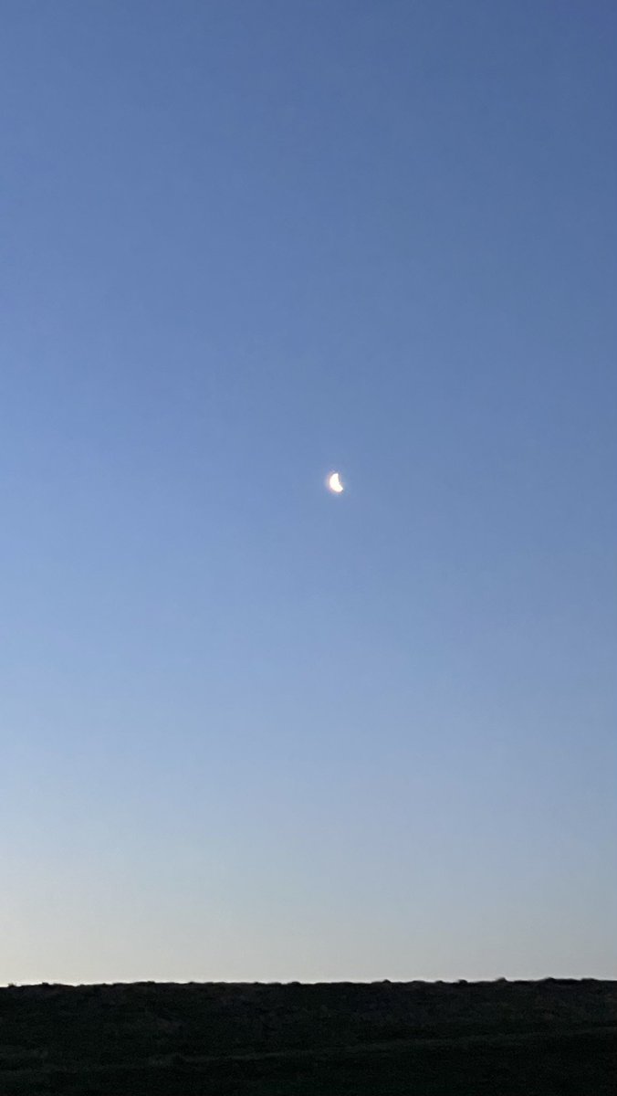 stepwgnrf1 tweet media