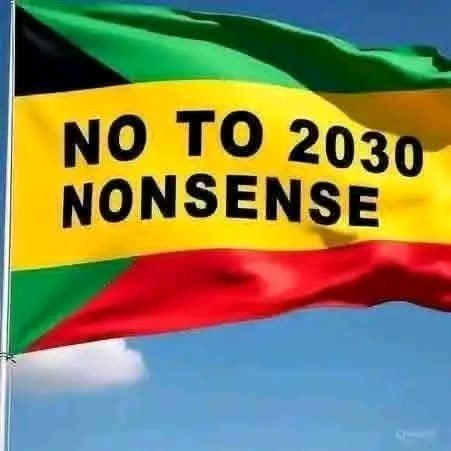 tariemda's tweet photo. @nickmangwana https://t.co/t31Vkc9W2l