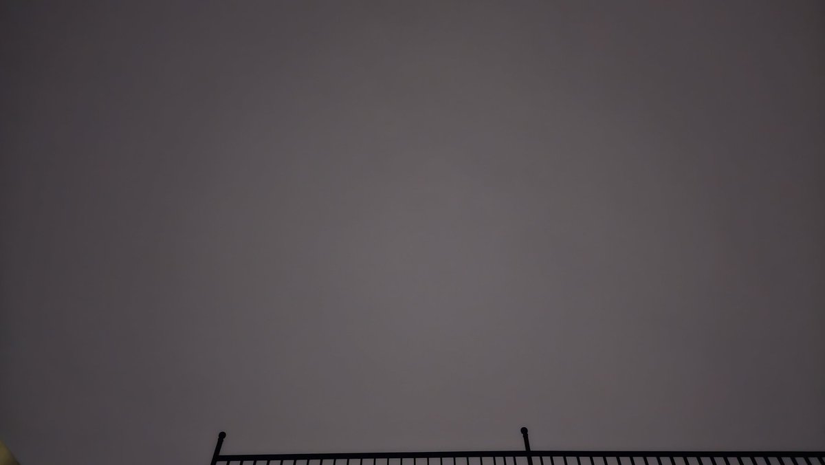 tanipon🌴 tweet media