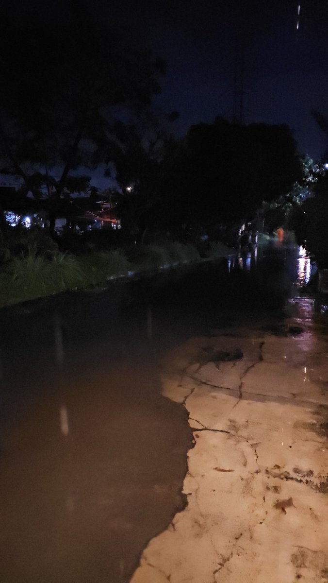 tanipon🌴 tweet media