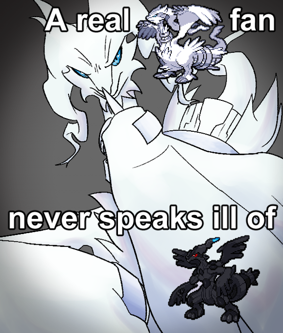 Rayquaza (Temp acc takeover) tweet media