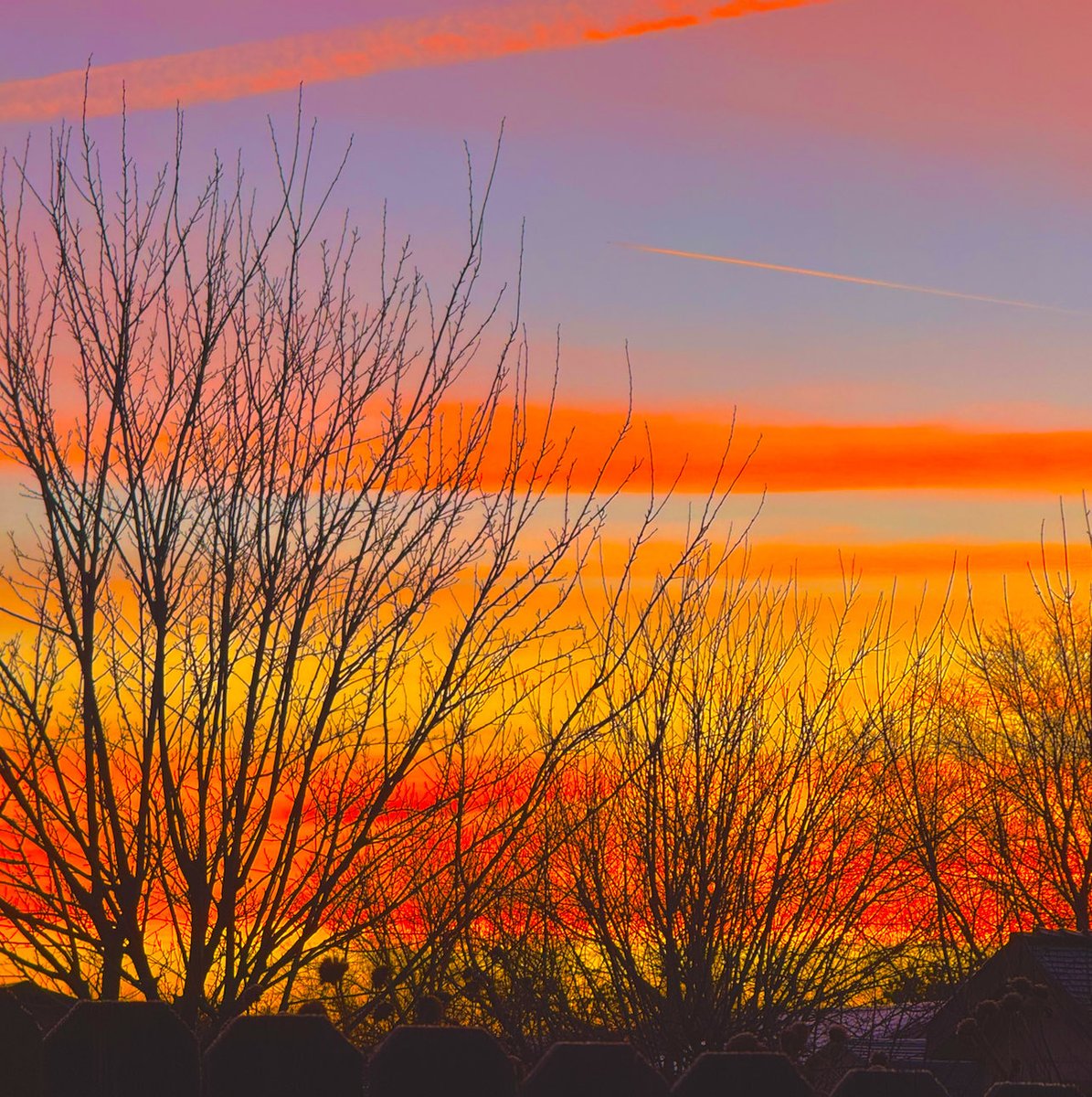 jonimarielew's tweet image. Sunrise in the desert. What a wild sky that morning. #colors #skies #desert #sunrise #trees #Nevada
