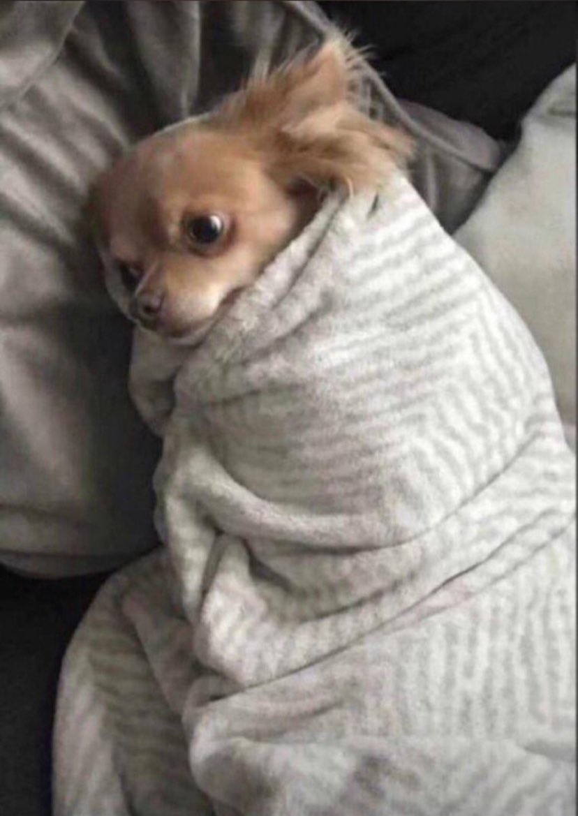 Valbienjr 👑 tweet media