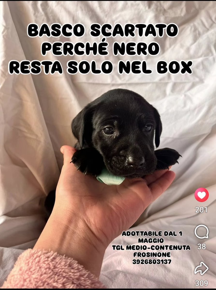 giuseppe esposito (@geisup) on Twitter photo 