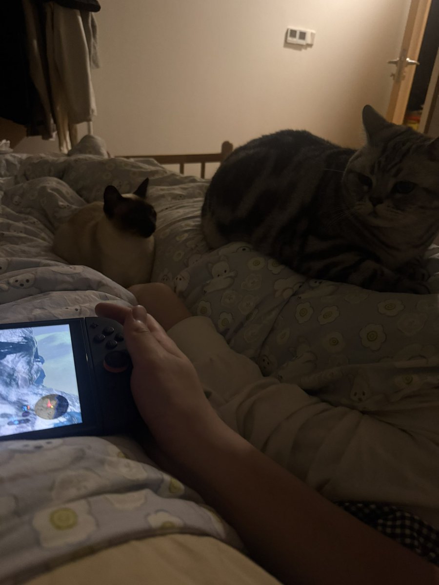 一家人都在床上了