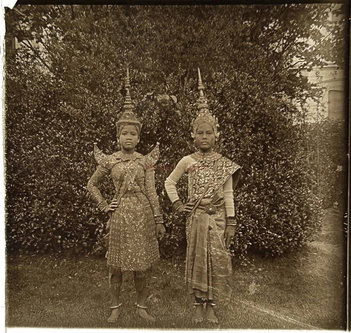 World Update tweet media