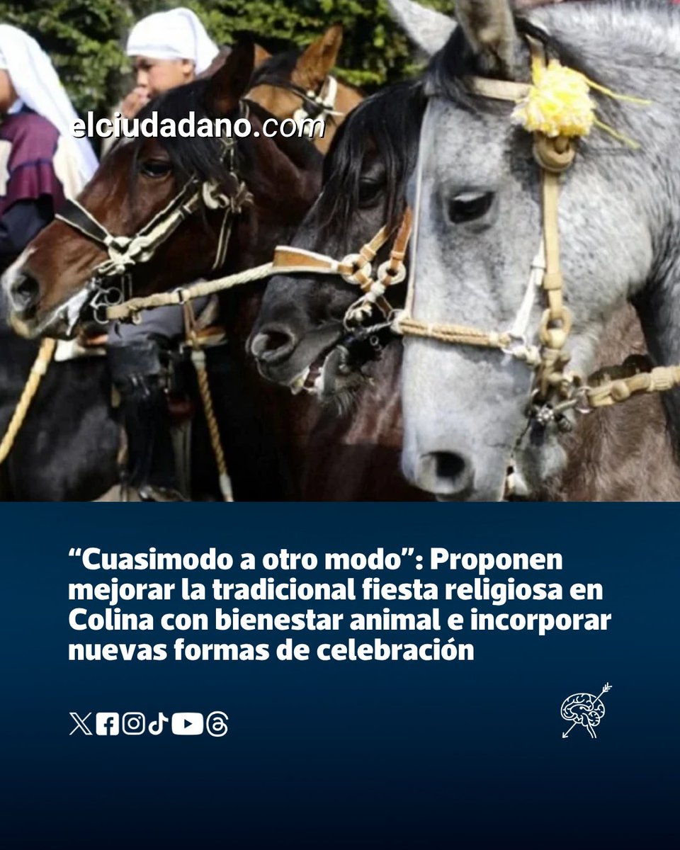 El Ciudadano tweet media