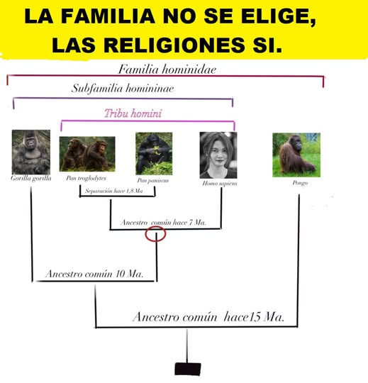 Celso Trujillo Rosales 🏛️​​ tweet media