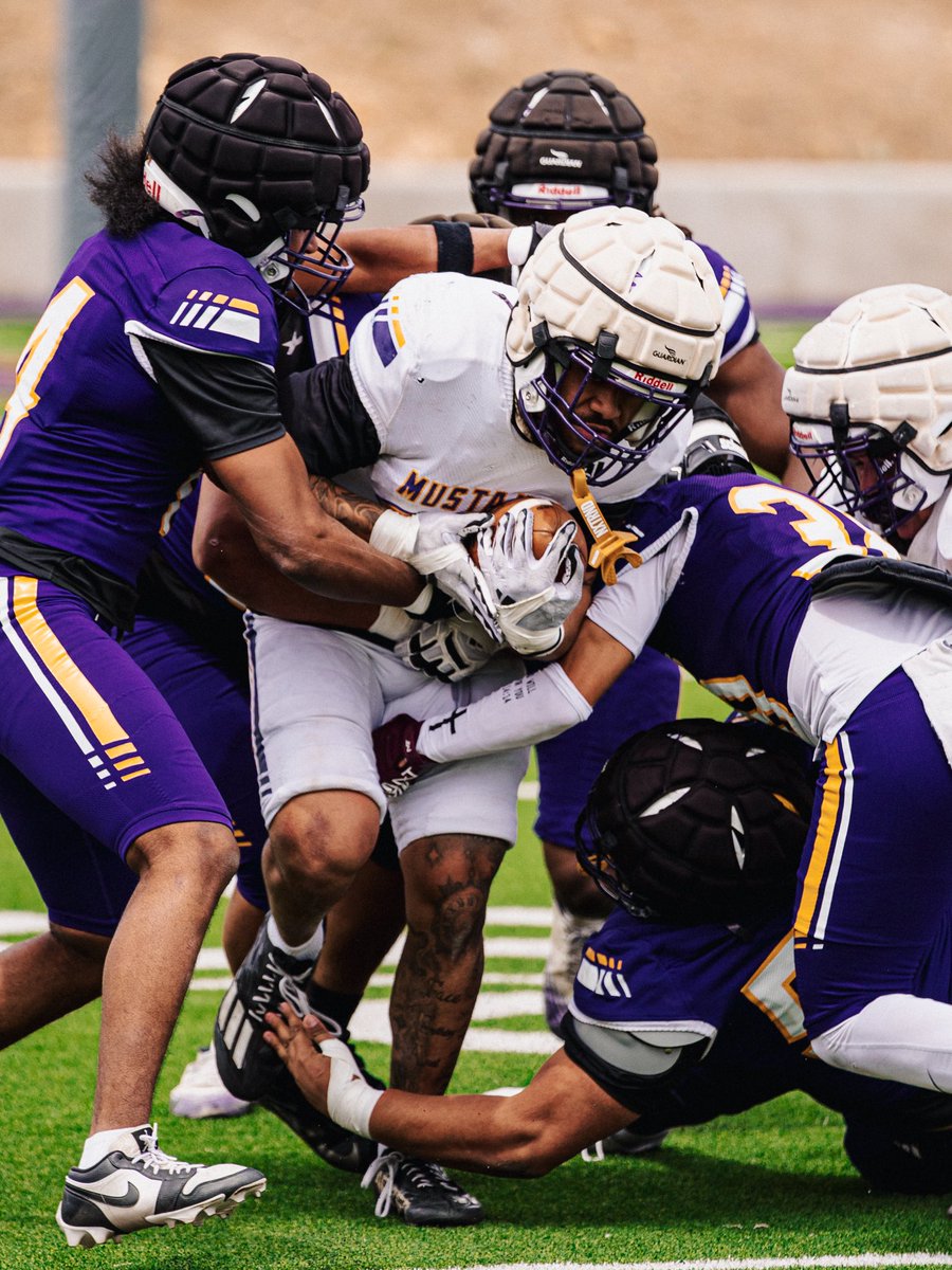 WNMU Mustang Football tweet media