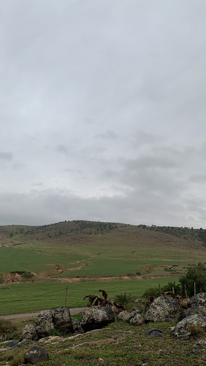 cleeoopatraa1's tweet image. Makayn gha sport w healthy food #stayhealthy