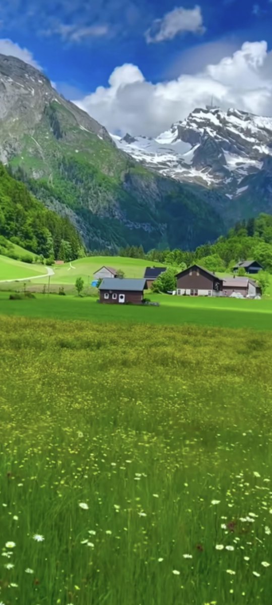 Rudant Ludovic tweet media