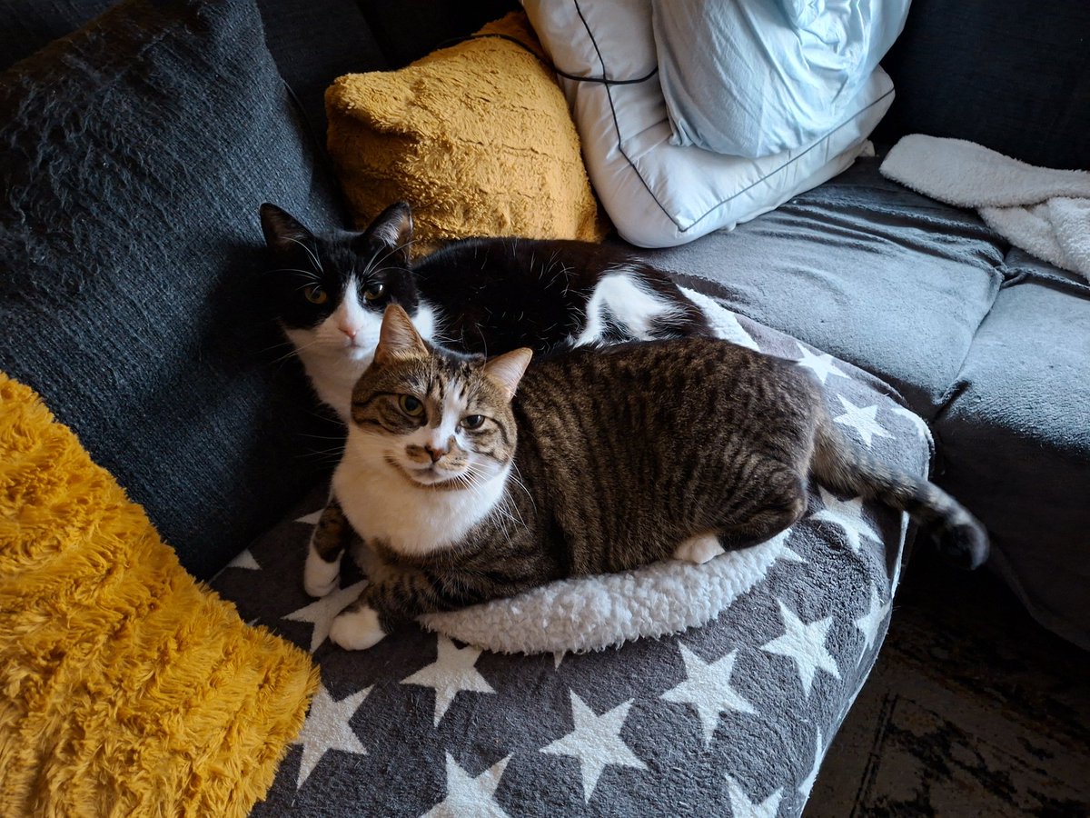 Nijntje31's tweet photo. https://t.co/B1Y3GtejxZ