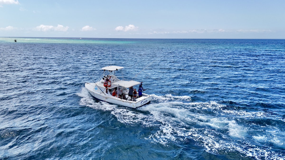 Charters Aruba tweet media