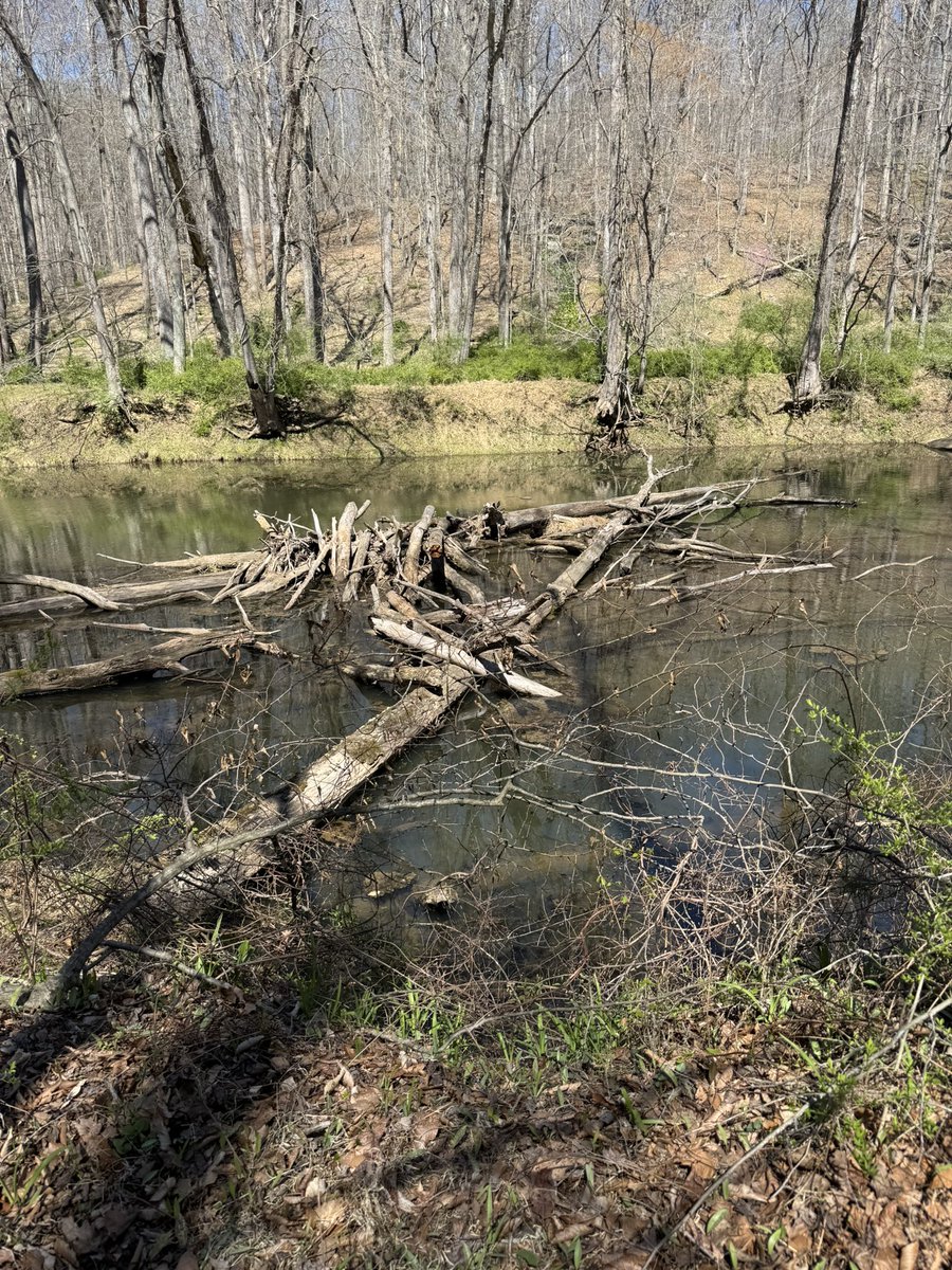 Michael Kelly tweet media