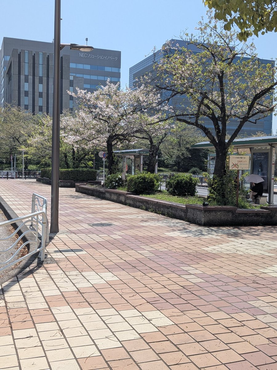 🪅ぴえろっく🪅❂t2ms🐼🍜 tweet media