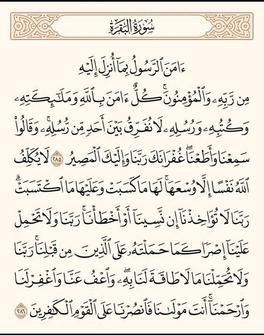 KouraIslam's tweet photo. https://t.co/SBkD4QZPAO