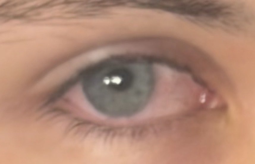 Carmen - Demyx’s husband tweet media