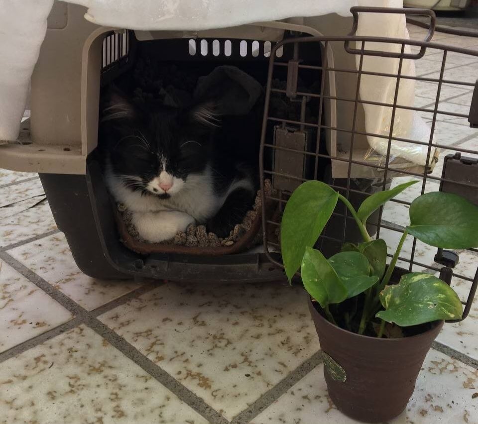 Audrey MJ tweet media