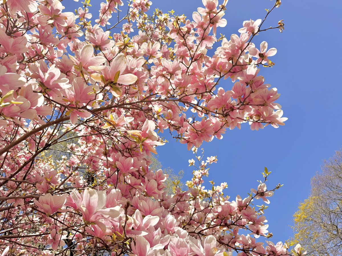 ryeisbread 🍞🏕️ tweet media