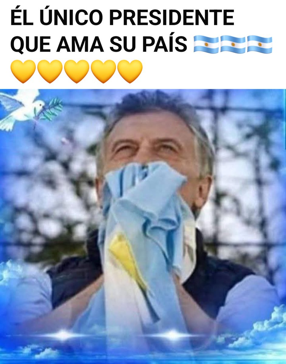 Maria Todaro tweet media