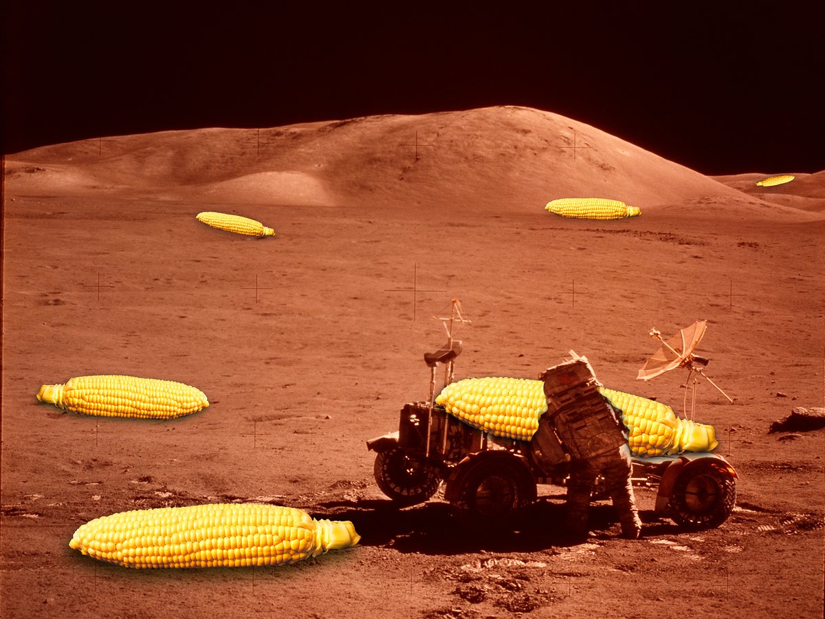 chip simons tweet media