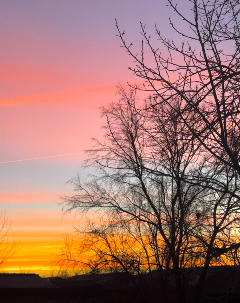 jonimarielew's tweet image. Morning in the desert. #skies #trees #colors #desert #Nevada #clouds #sunrise #pastels