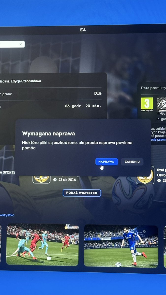 TurtleHype tweet media