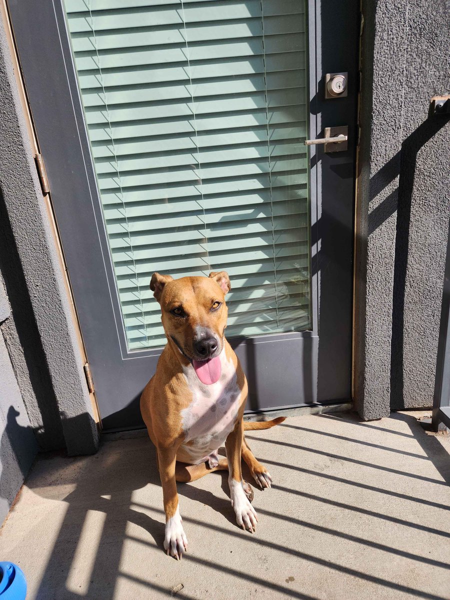 Penguin_Science tweet media