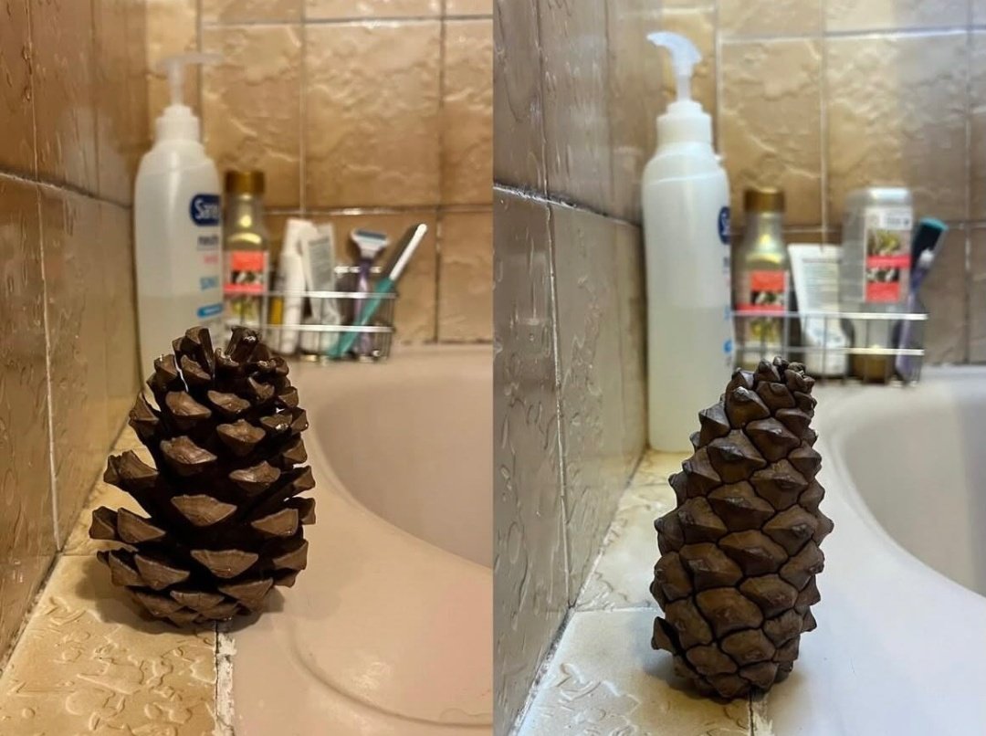 mia ࣪ ִֶָ☾. tweet media