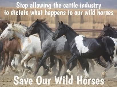 SANDRA🟦🟧NEVER OPEN INSTAGRAM DM LINKS tweet media