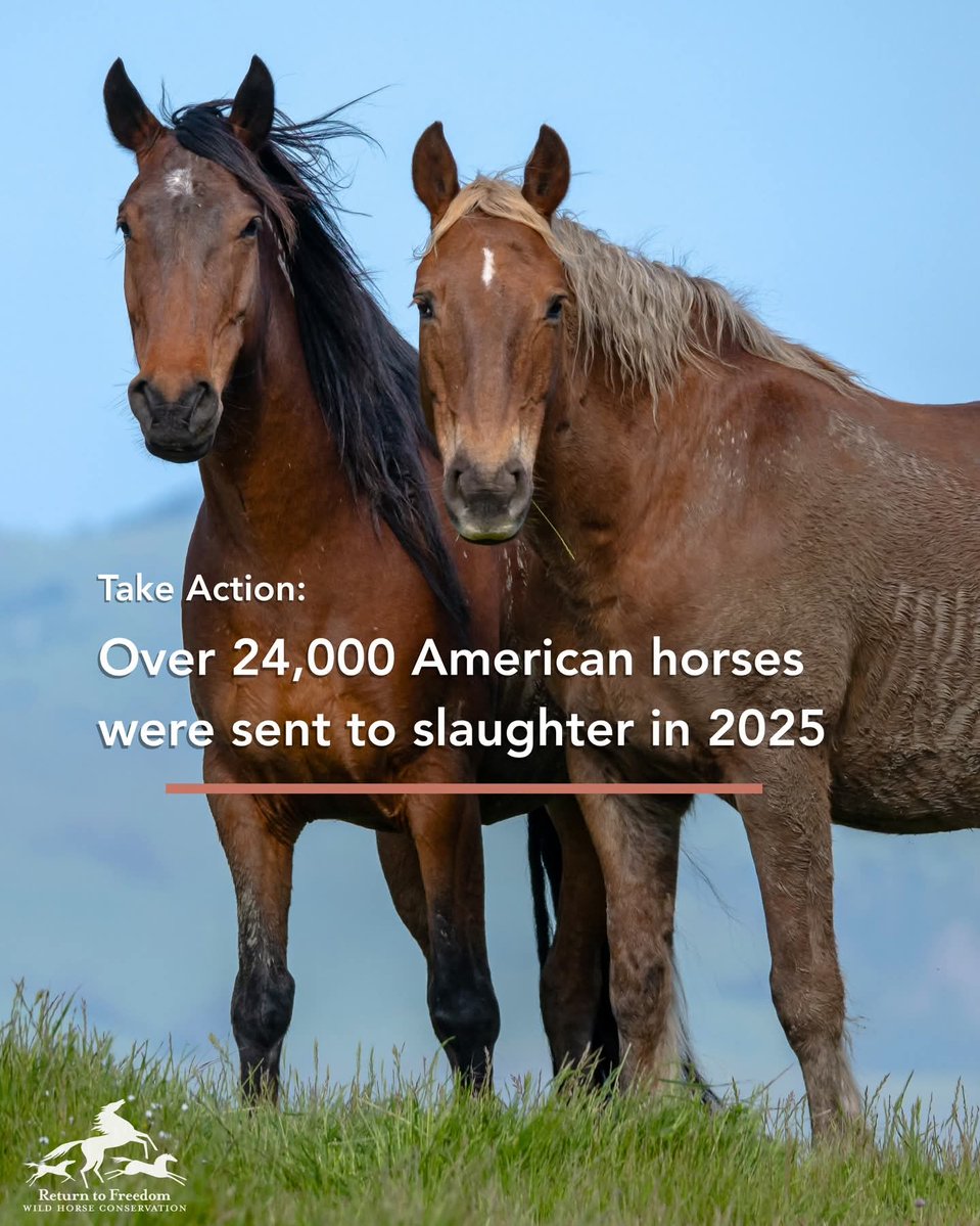 SANDRA🟦🟧NEVER OPEN INSTAGRAM DM LINKS tweet media