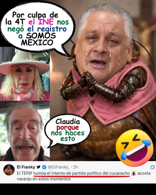 eder jourdan maya tweet media