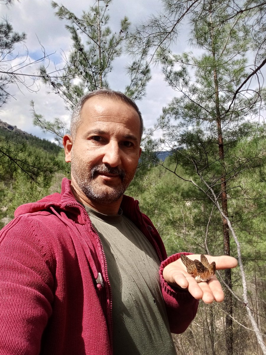 muratsait's tweet photo. #doğa #huzur #kuzıgöbeği https://t.co/B4gj6ydqFI
