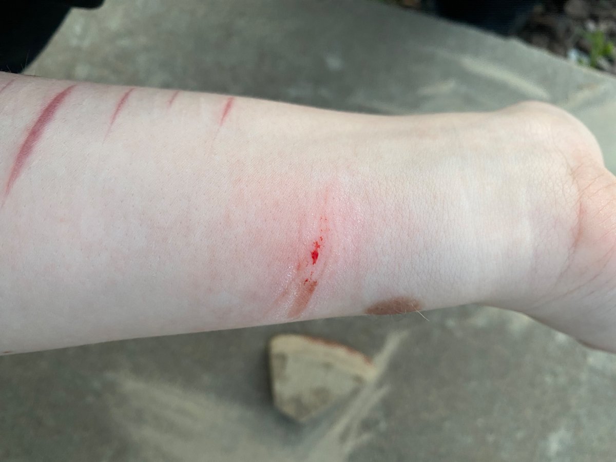 ☆DJ COOKIE OF SHEDTWT ˖.𖥔 ݁ ˖ ⊹ ࣪ ˖ tweet media