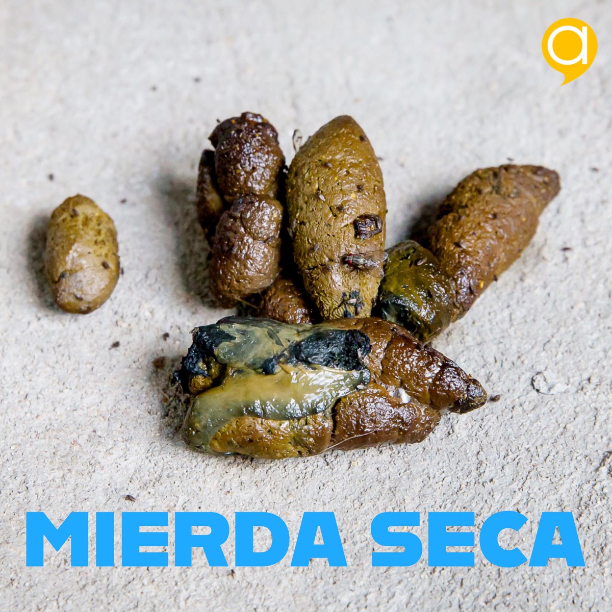 A Project tweet media