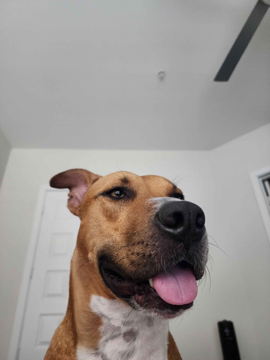 Penguin_Science tweet media