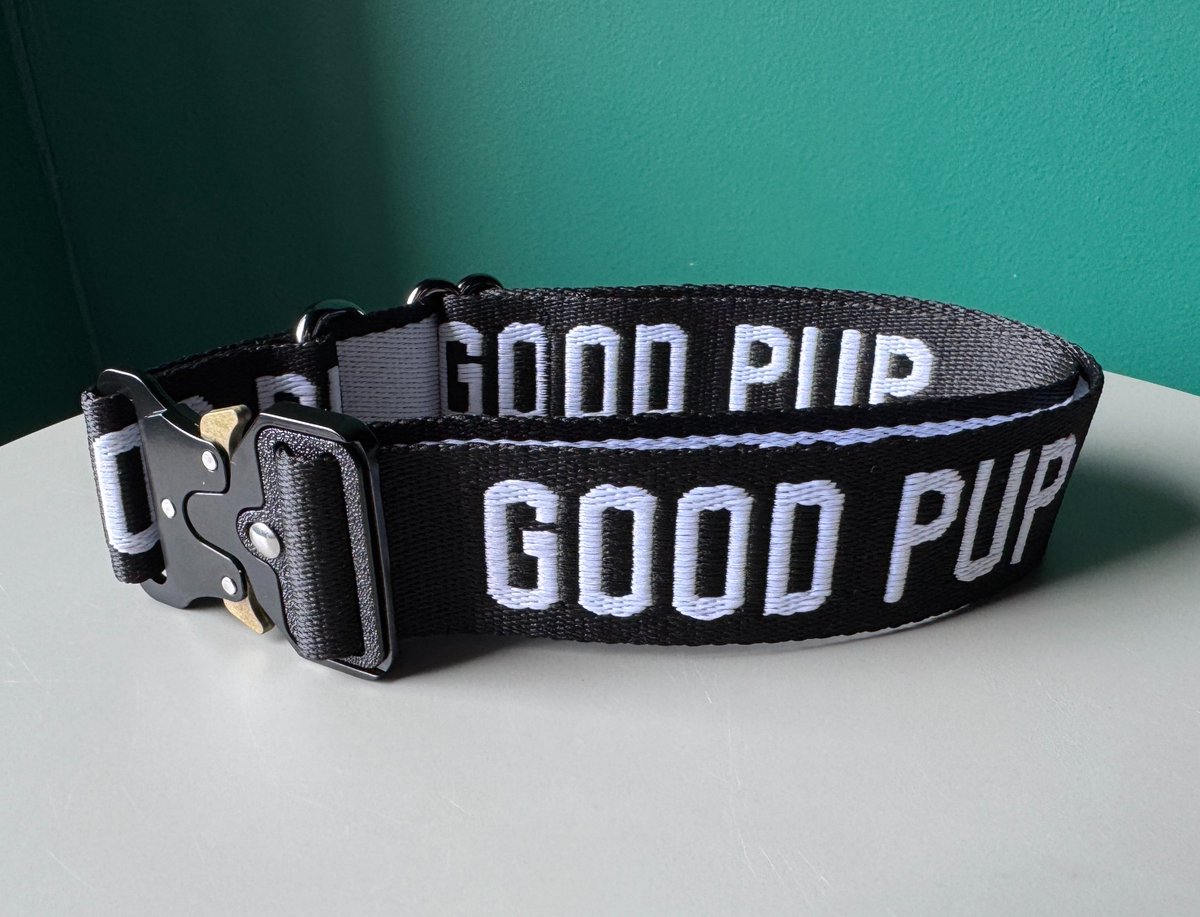 WoofAndWagClub 🐾 tweet media