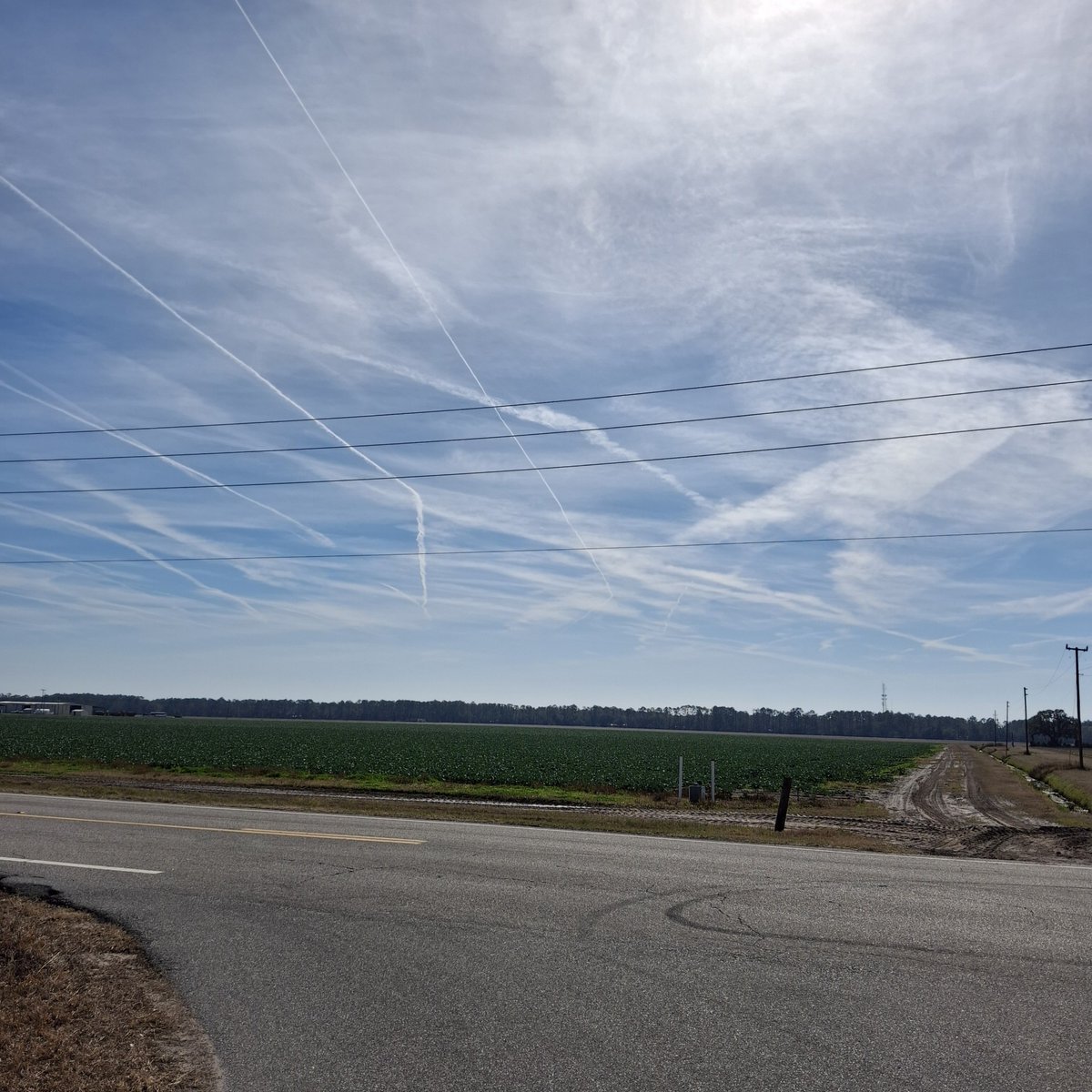 Frank Diesel tweet media