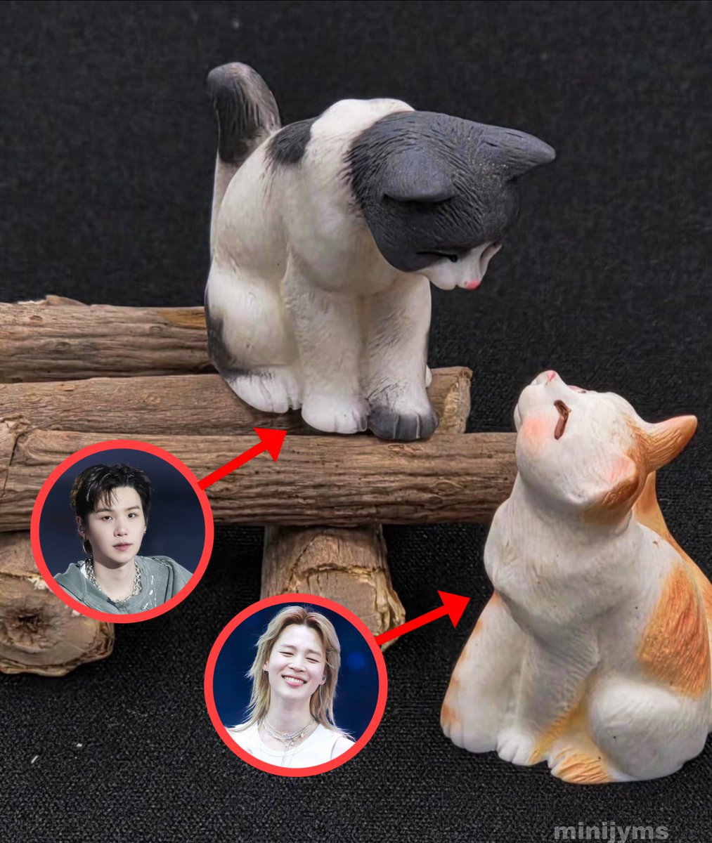 Tony Montana ft.JIMIN tweet media