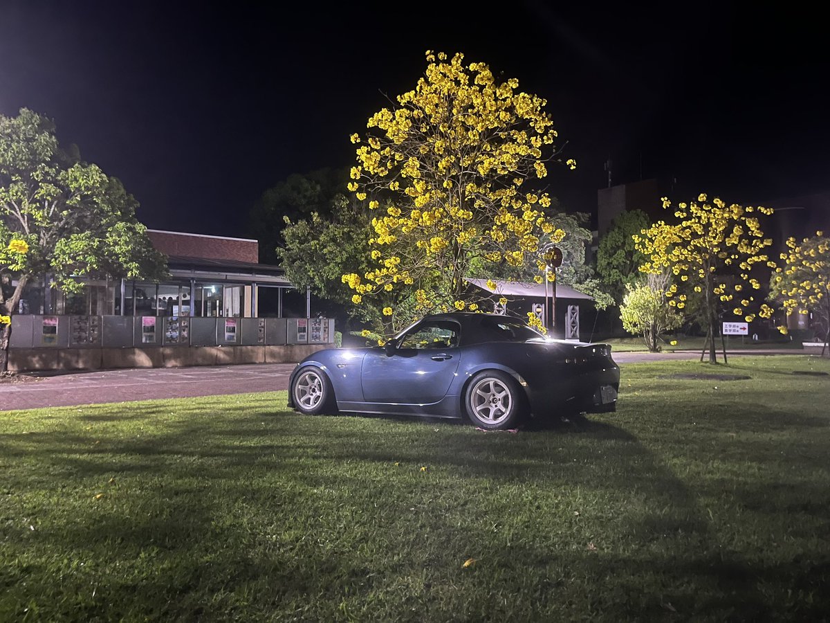 がーりー tweet media