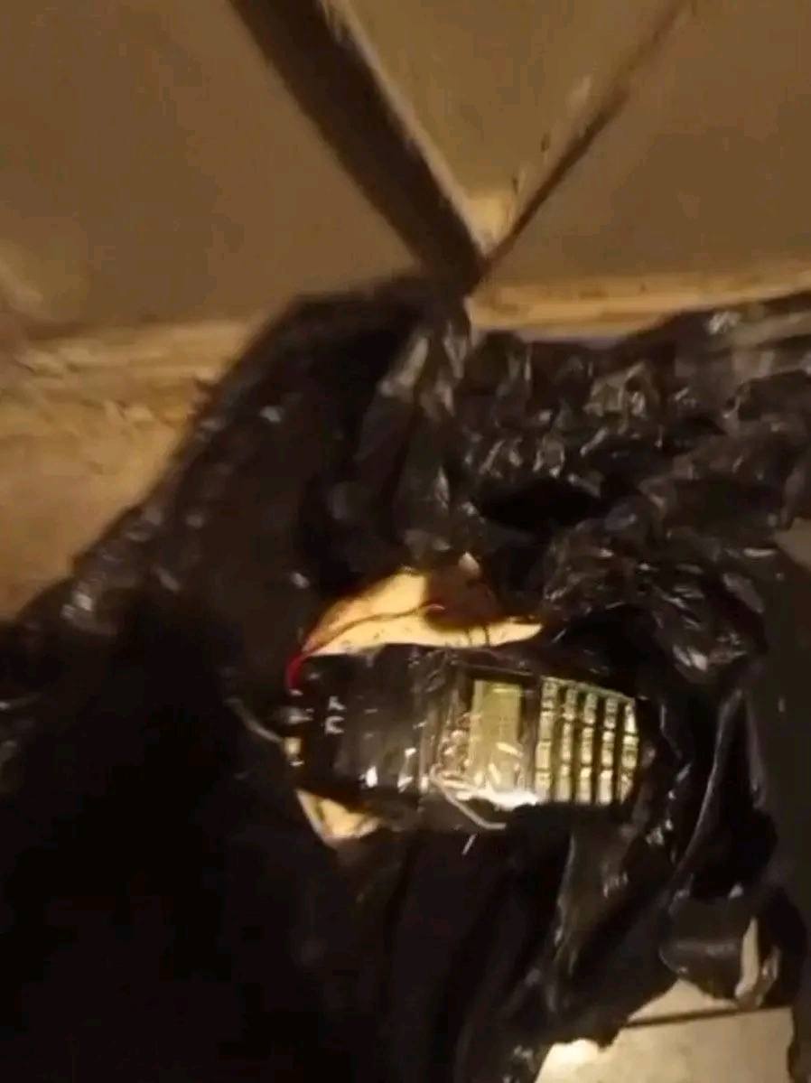 Samira Sulaiman tweet media