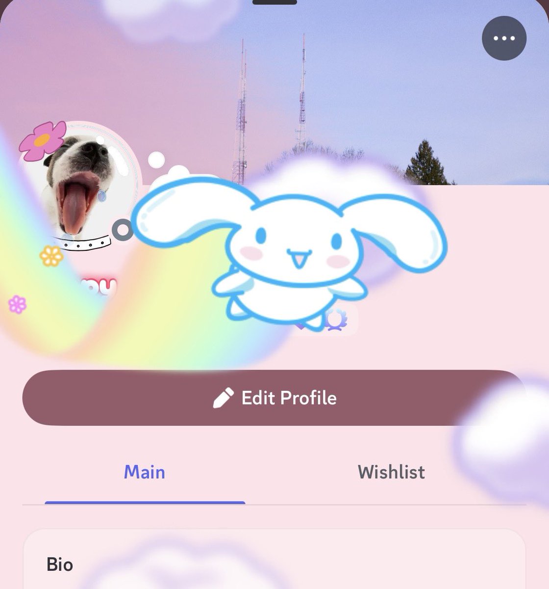 i dont care if i wasted money i love cinnamoroll sm and he makes me soooo happy :>