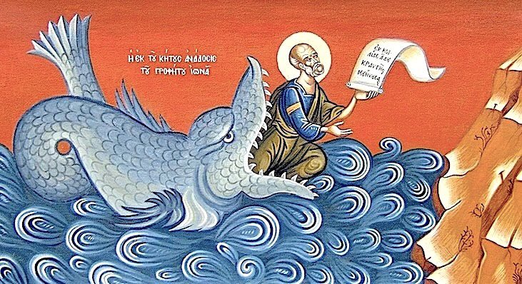 David Ninov tweet media