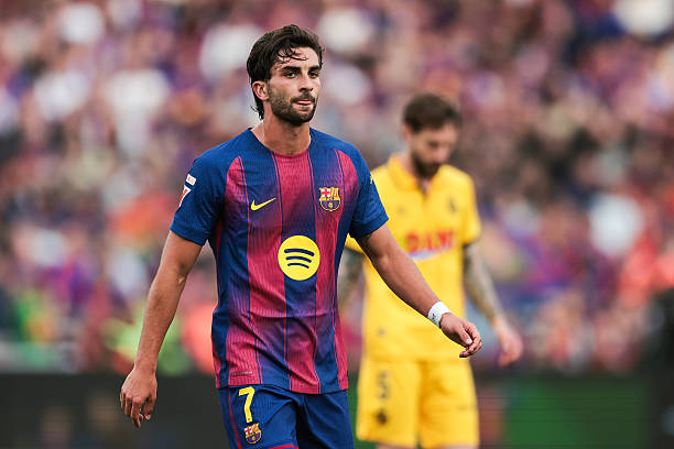 Islam Bouafif 🇹🇳🇵🇸 tweet media