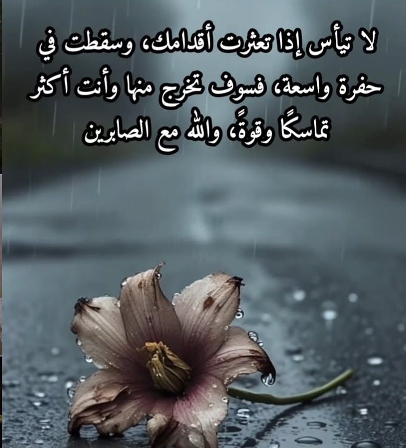 🇸🇦💚جنوبيه_وافتخر🇸🇦💚 tweet media