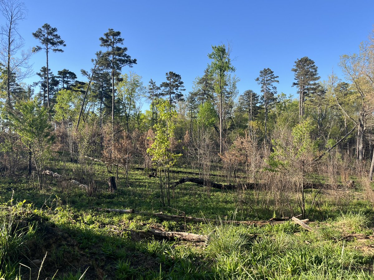 Jzsus VE tweet media