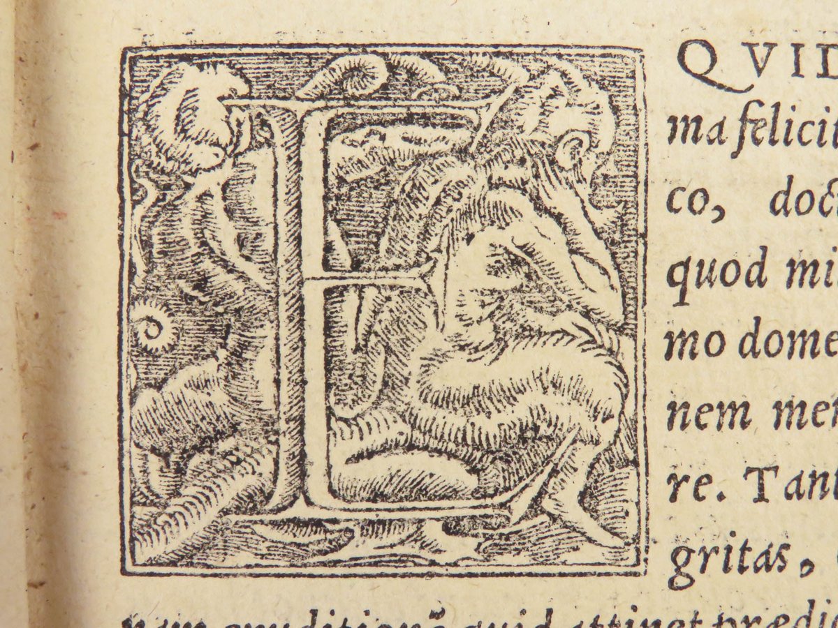 SchilbRareBooks's tweet image. Erasmus' satirical work "In Praise of Folly" played a pivotal role in sparking the Protestant Reformation! This edition contains additional letters and commentary from Erasmus. (1551) Interested? ow.ly/H4k050YHkwV
Want more? ow.ly/Fitp50YHkwU

#Erasmus #Reformation
